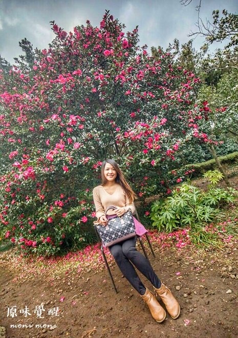 20250919-c75ii 20250919-c75ii