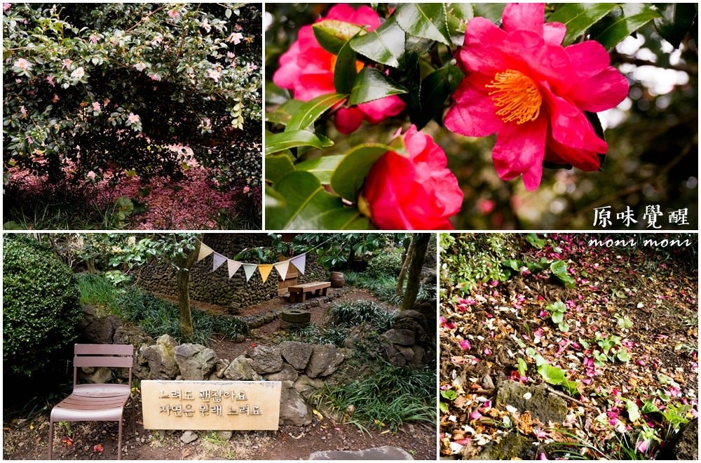 20250919-gx4ra 20250919-gx4ra