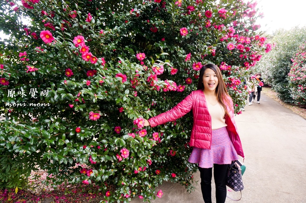 20250919-ivbjg 20250919-ivbjg