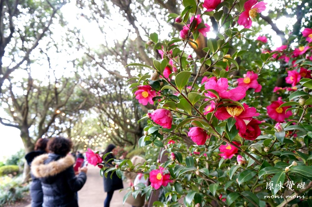 20250919-jiysl 20250919-jiysl