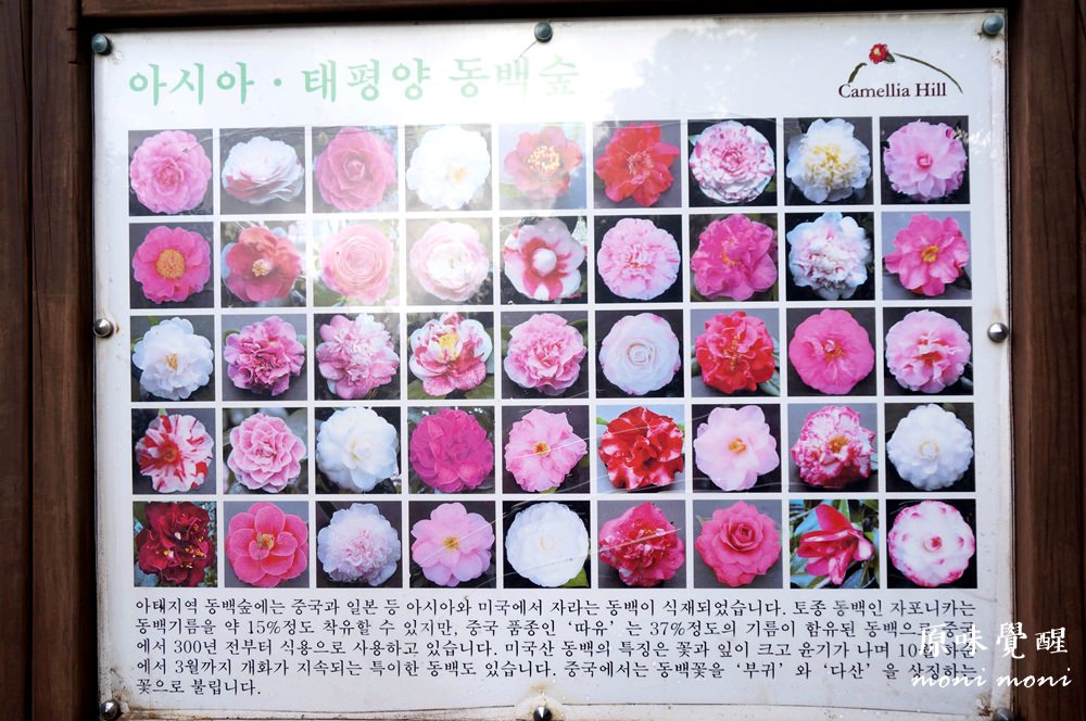 20250919-ni1av 20250919-ni1av