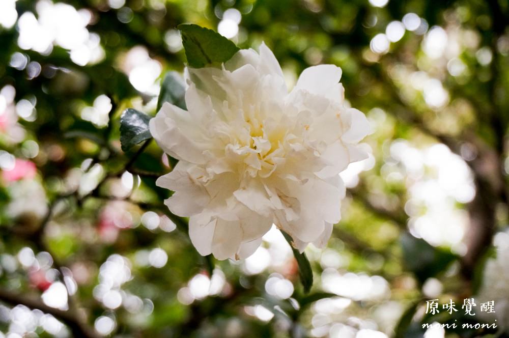 20250919-oja54 20250919-oja54