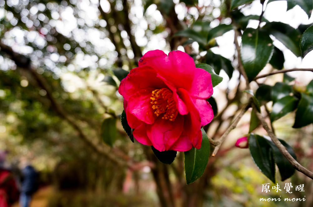 20250919-u8gvl 20250919-u8gvl