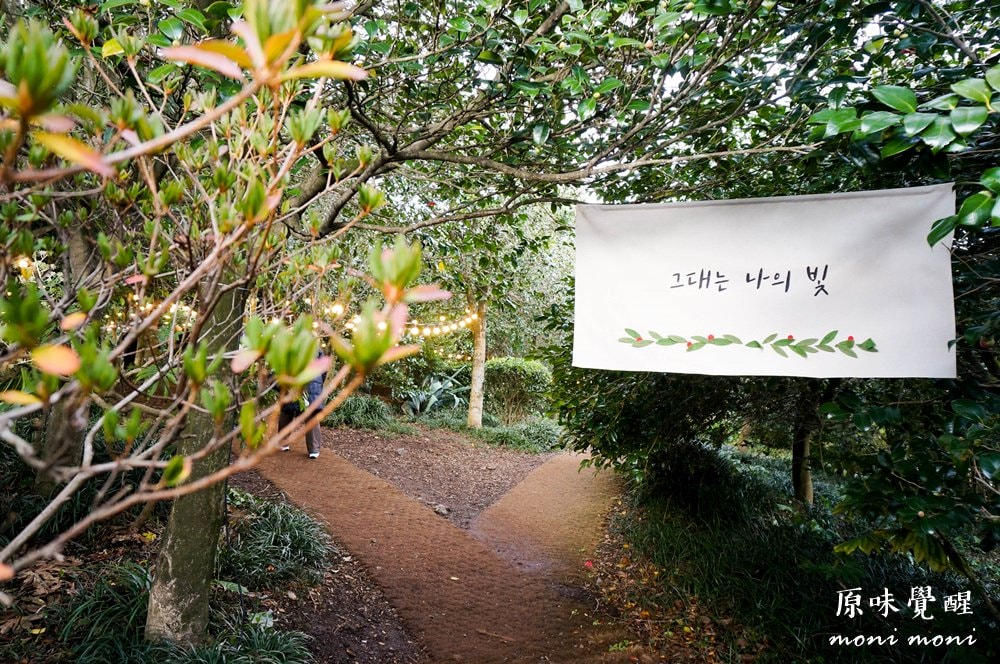 20250919-vu91p 20250919-vu91p