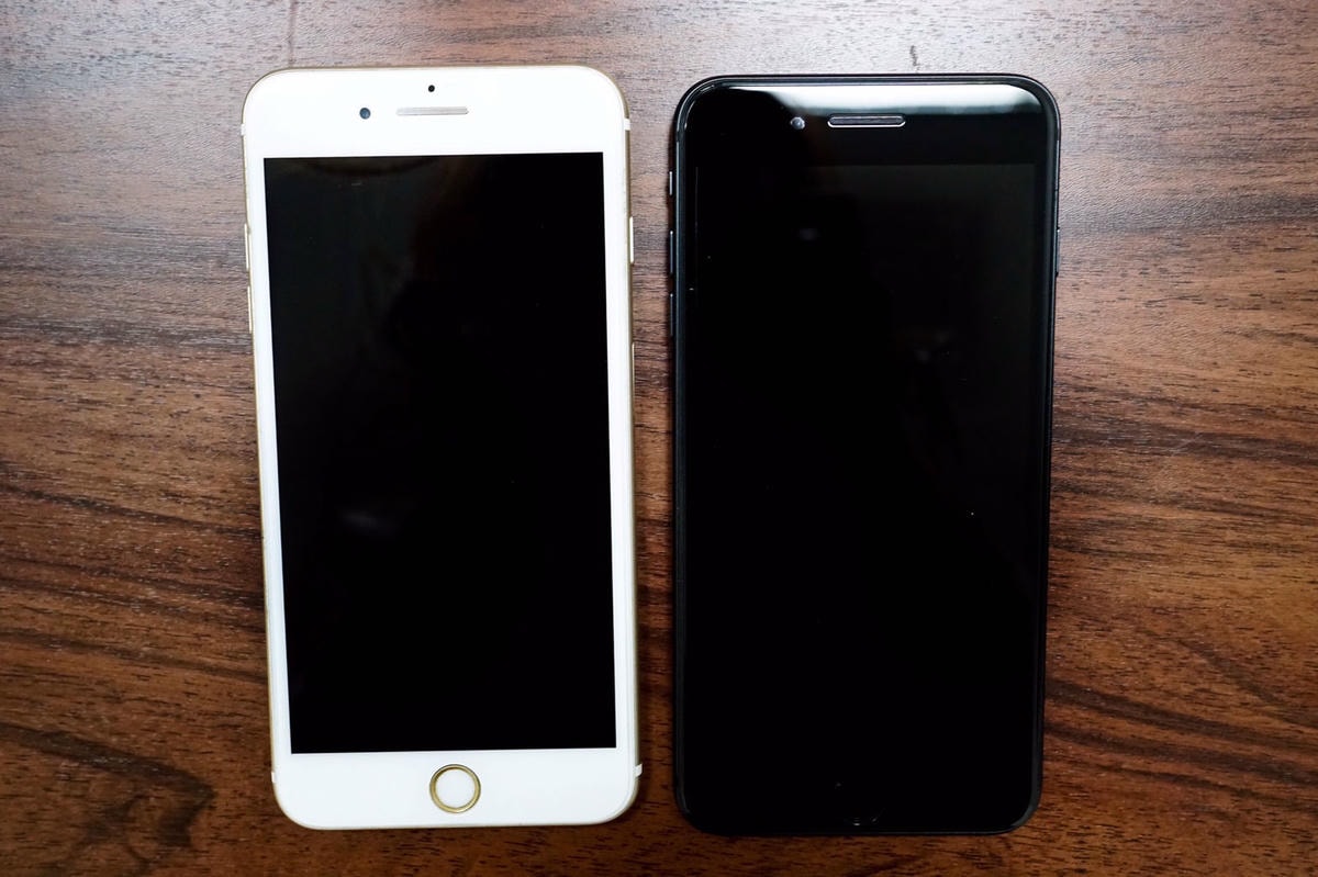 20250919-dcggk 20250919-dcggk