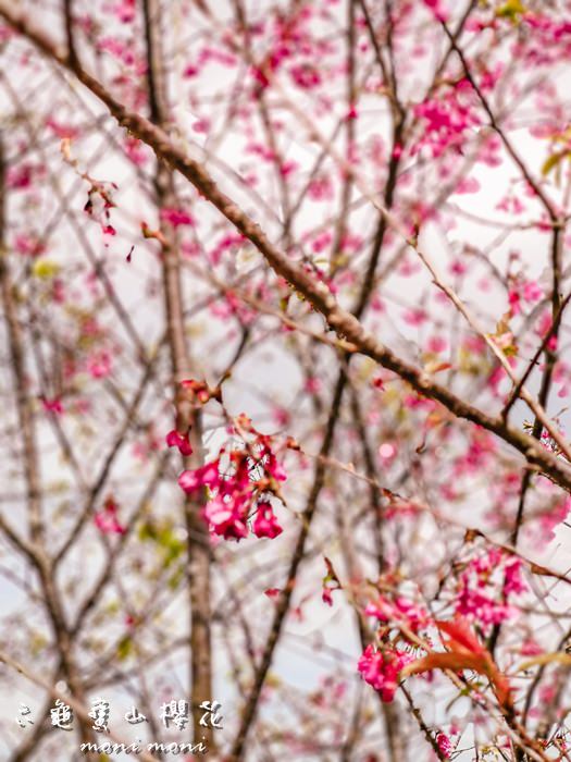 20250919-5tpws 20250919-5tpws