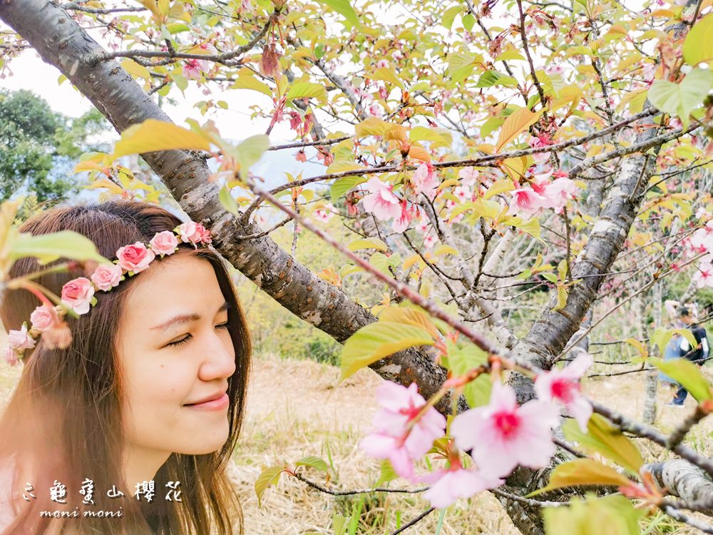 20250919-aiv9r 20250919-aiv9r