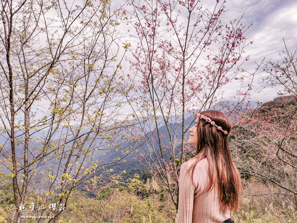 20250919-c6u8g 20250919-c6u8g