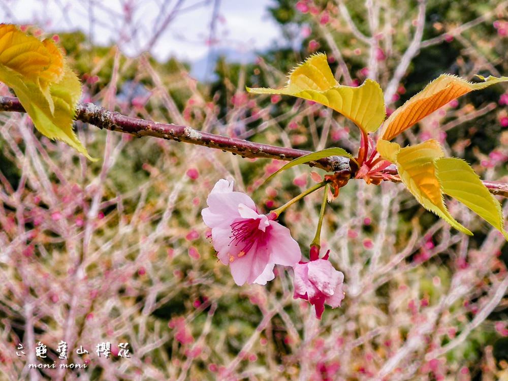 20250919-e2i56 20250919-e2i56