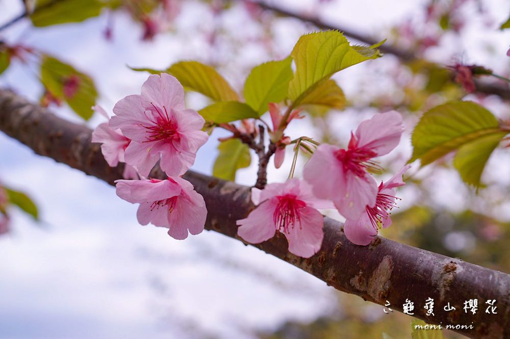 20250919-kc778 20250919-kc778