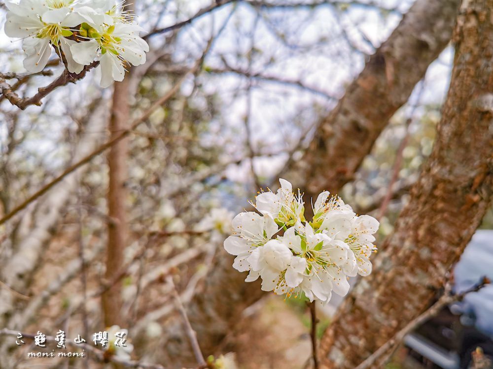 20250919-mw8cs 20250919-mw8cs