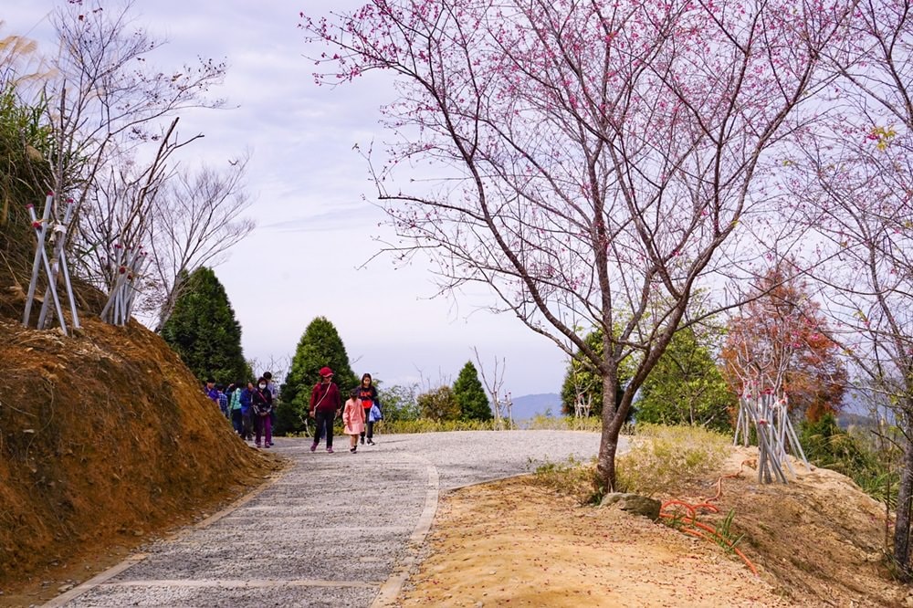 20250919-mzhl8 20250919-mzhl8