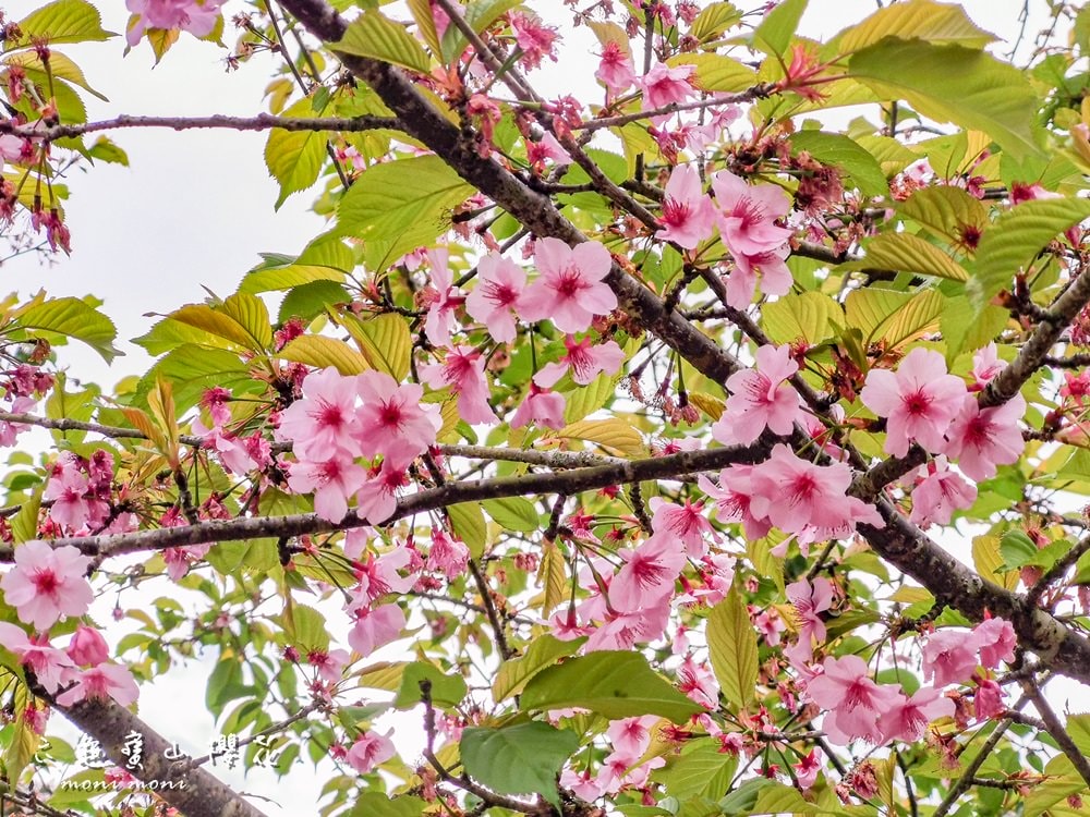 20250919-r1jyu 20250919-r1jyu