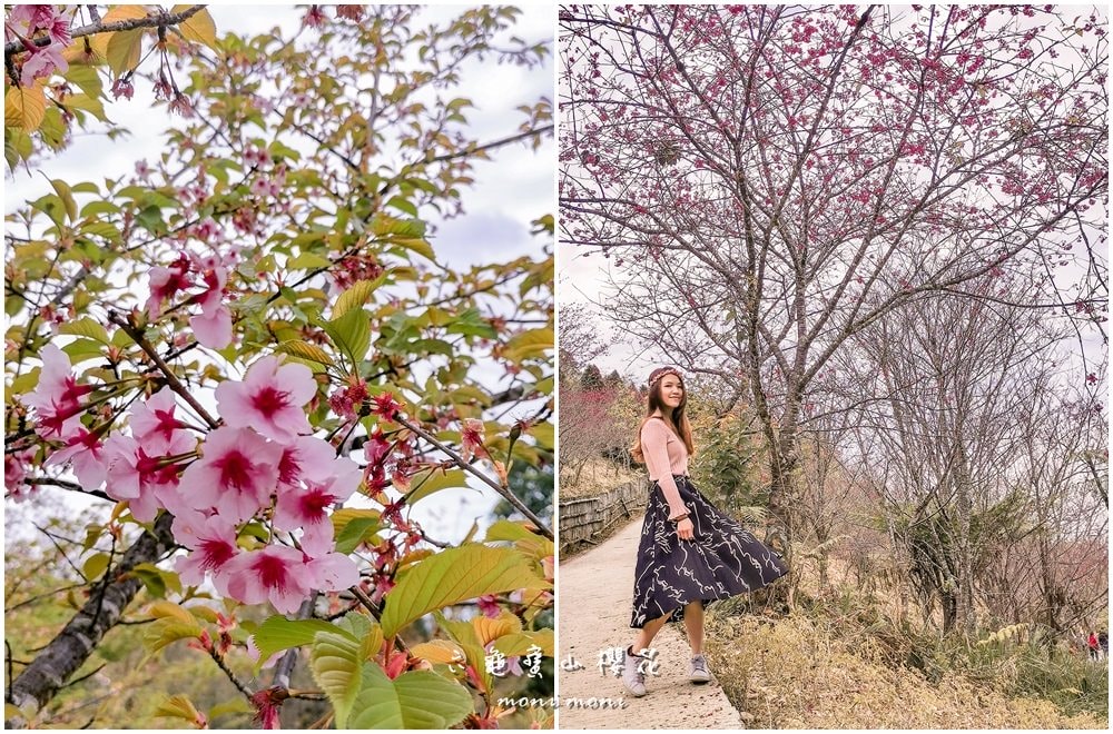 20250919-v9qz1 20250919-v9qz1