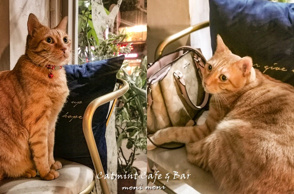 20250919-jriqi
