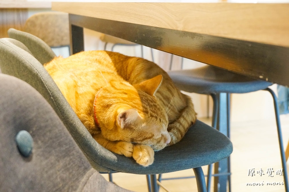 20250919-yg40i 20250919-yg40i