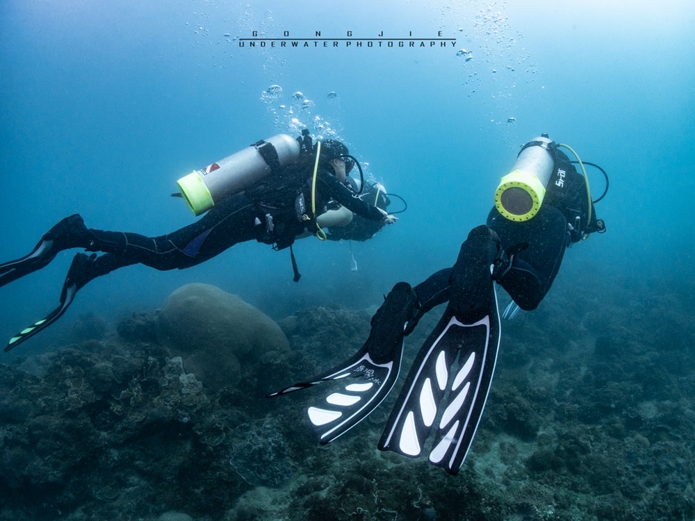 20250919-wynv6