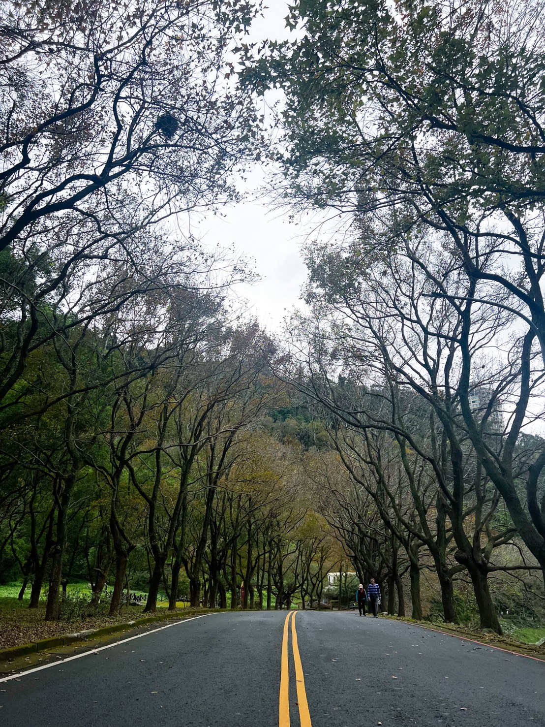 桃園石門水庫美食懶人包|石門水庫散步+「大石門活魚老店」五吃,必買黃大目大溪豆干 - 第3張圖 桃園石門水庫美食懶人包|石門水庫散步+「大石門活魚老店」五吃,必買黃大目大溪豆干