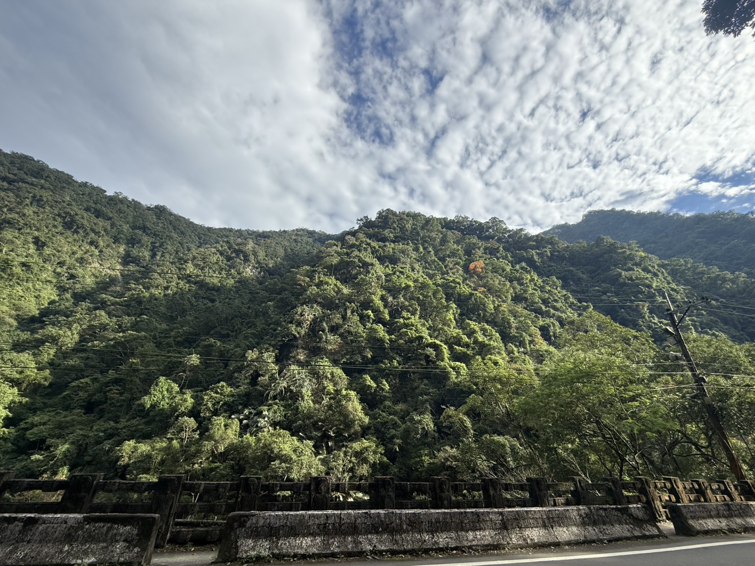 烏來兩天一夜泡湯行程|高 CP 值溫泉住宿推薦,泉世界溫泉會館實住分享 - 第1張圖 烏來兩天一夜泡湯行程|高 CP 值溫泉住宿推薦,泉世界溫泉會館實住分享
