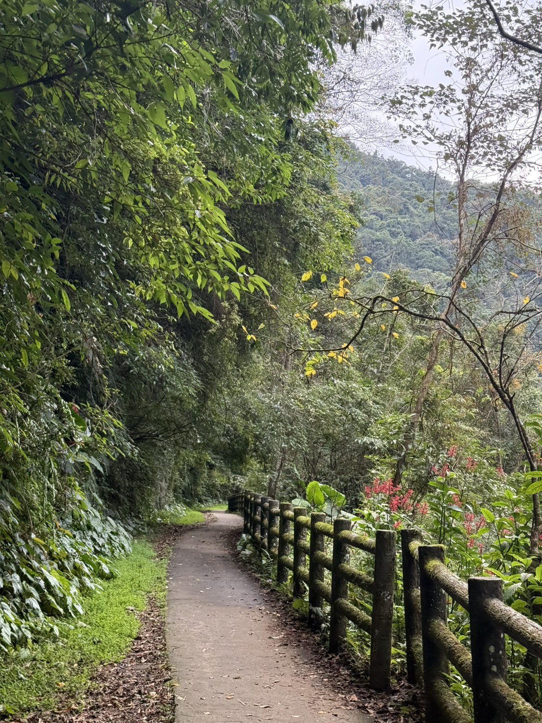 烏來兩天一夜泡湯行程|高 CP 值溫泉住宿推薦,泉世界溫泉會館實住分享 - 第4張圖 烏來兩天一夜泡湯行程|高 CP 值溫泉住宿推薦,泉世界溫泉會館實住分享