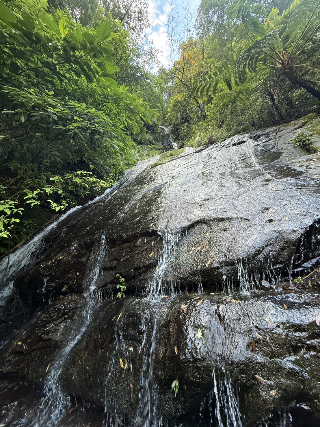 烏來兩天一夜泡湯行程|高 CP 值溫泉住宿推薦,泉世界溫泉會館實住分享 - 第5張圖 烏來兩天一夜泡湯行程|高 CP 值溫泉住宿推薦,泉世界溫泉會館實住分享