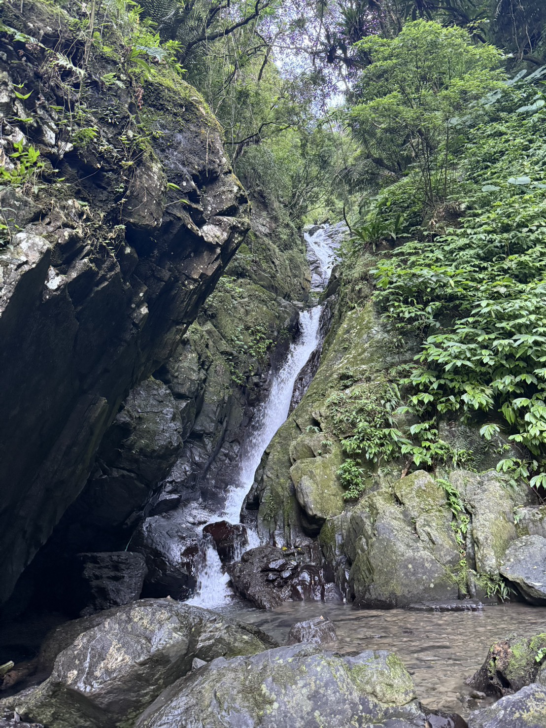 烏來兩天一夜泡湯行程|高 CP 值溫泉住宿推薦,泉世界溫泉會館實住分享 - 第3張圖 烏來兩天一夜泡湯行程|高 CP 值溫泉住宿推薦,泉世界溫泉會館實住分享